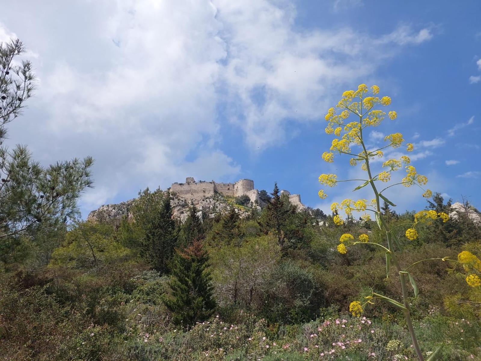 Exotic Hotel & Spa Bogazi Kültér fotó