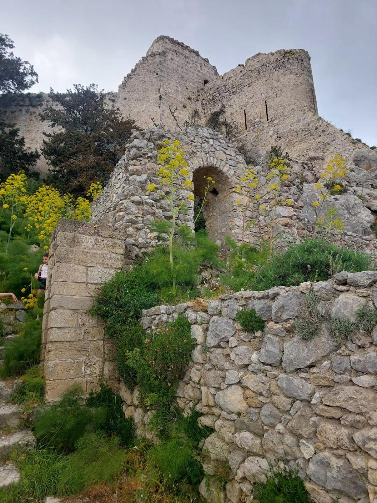 Exotic Hotel & Spa Bogazi Kültér fotó